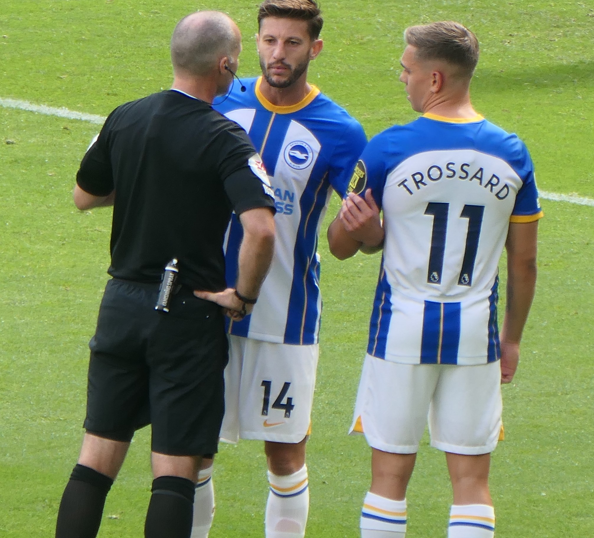 Brighton players around a referee