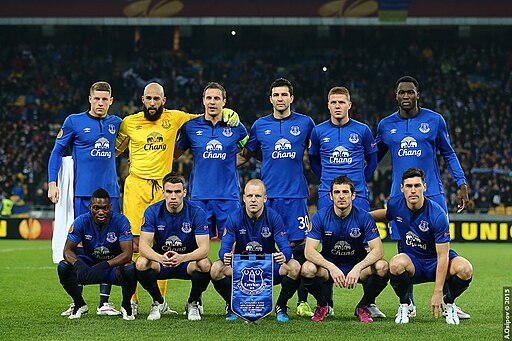 Everton 2013 in the Europa League